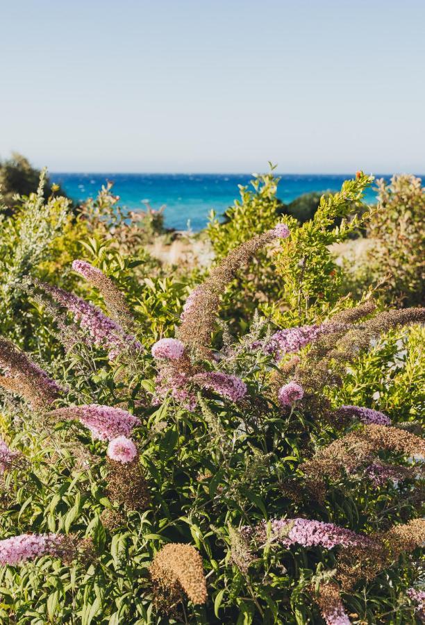 Casa Paradisu LʼÎle-Rousse Dış mekan fotoğraf